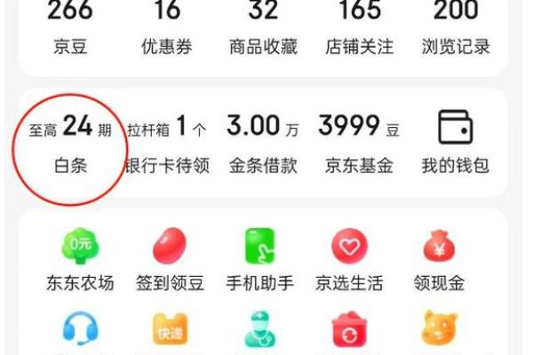 详解白条支付的还款方式与注意事项